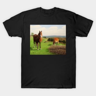 Sugar Loaf Horses T-Shirt